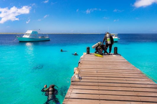 Buddy Dive Resort