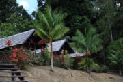 Danpaati River Lodge