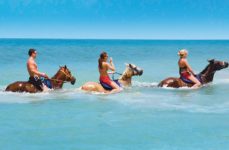 Paardrijden zee jamaica
