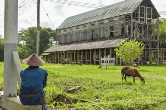 Peperpot Fietstour Suriname