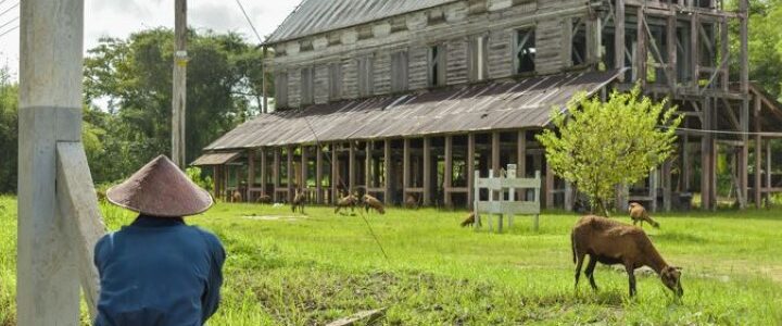 Peperpot Fietstour Suriname Peperpot Fietstour Suriname