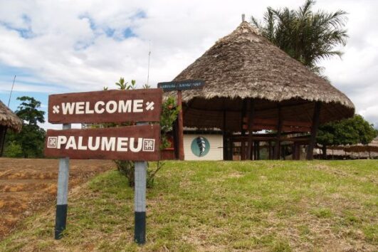 Palumeu Jungle Lodge
